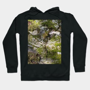 Green Stone Moss Nature Forest Hoodie